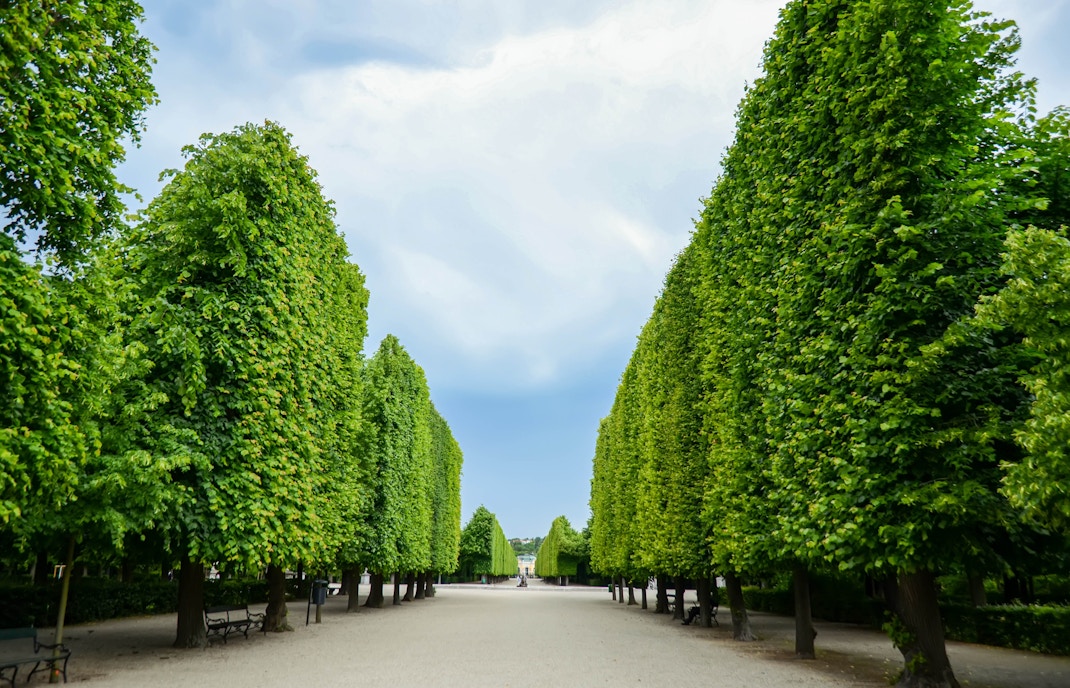 Schonbrunn Palace Maze
