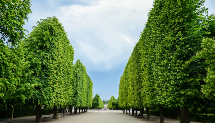 palácio de Schonbrunn