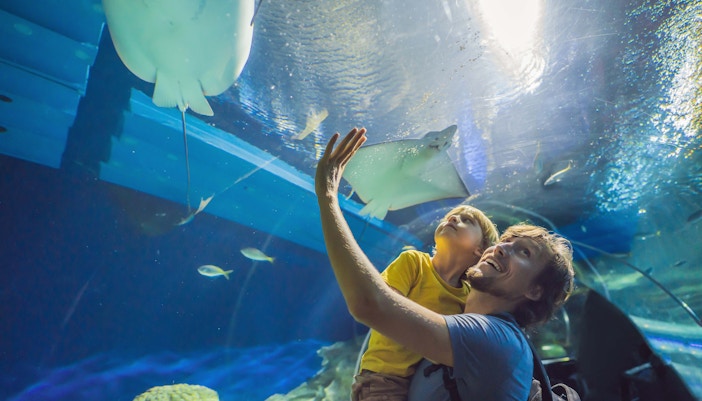 Dubai in Summer- Top Things to do in Dubai