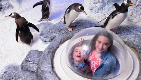 Explore SEA Life London Aquarium