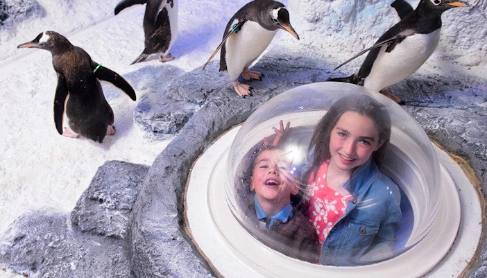 Explore SEA Life London Aquarium