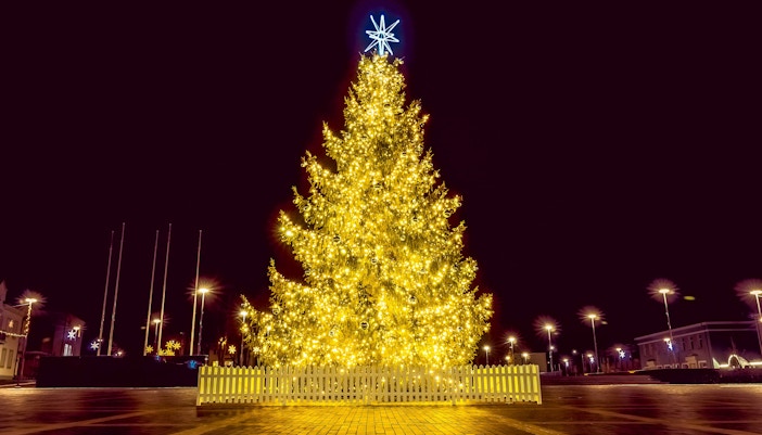 Christmas in Orlando - Christmas trees
