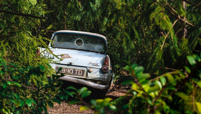 Flying car in the Harry Potter Forbidden Forest attraction surrounded by trees.