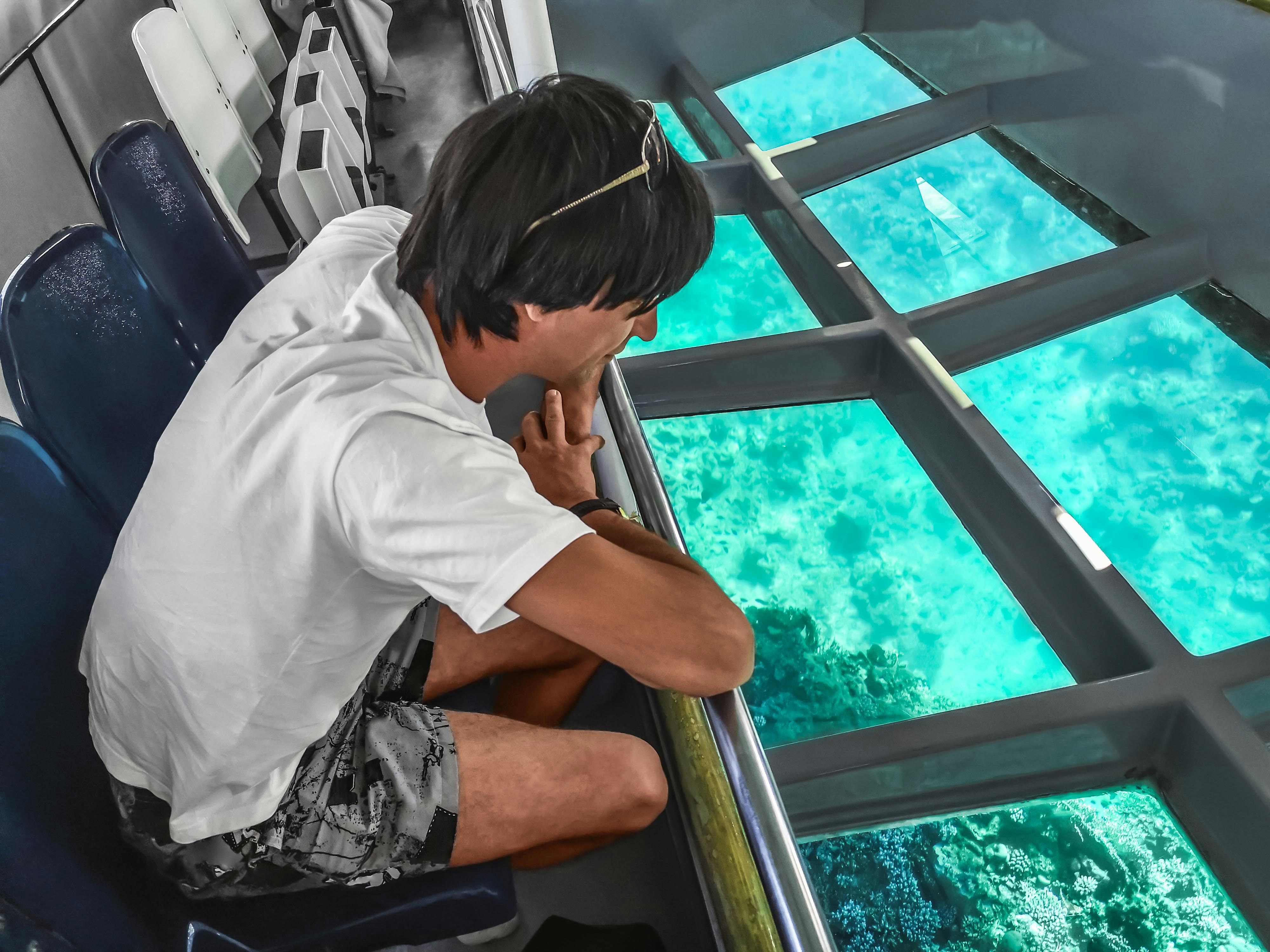 Person viewing coral reef through glass bottom boat on Great Barrier Reef cruise.
