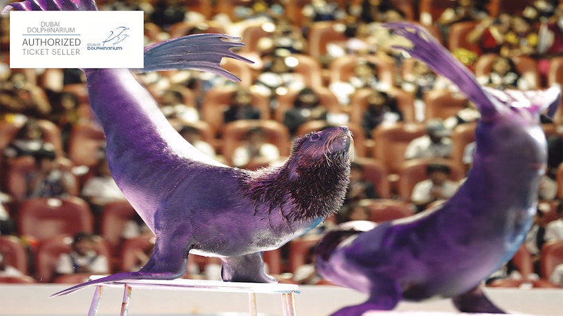 Dubai Dolphinarium