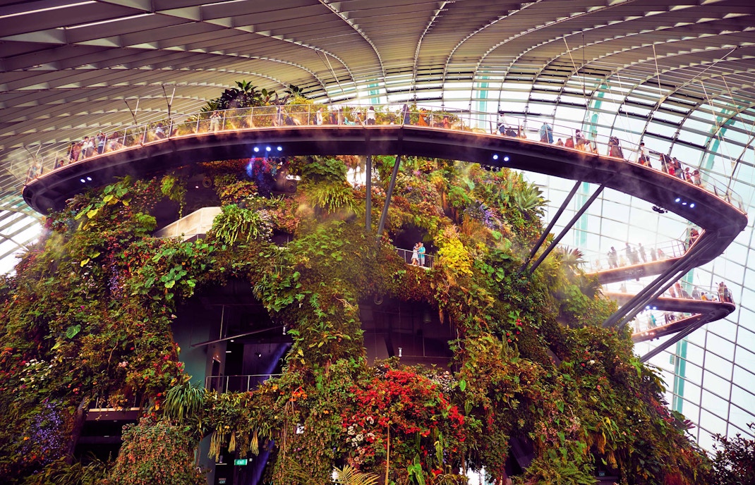 Floral Fantasy Singapore