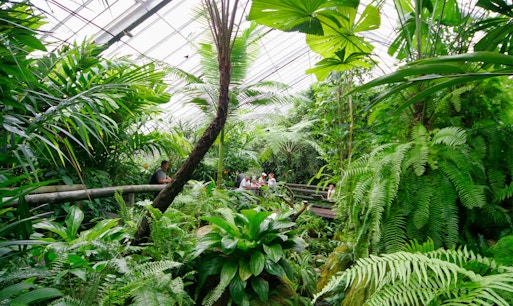 Australian Butterfly Sanctuary