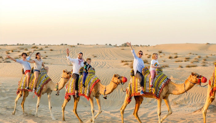 Dubai Desert Safari: Adventure