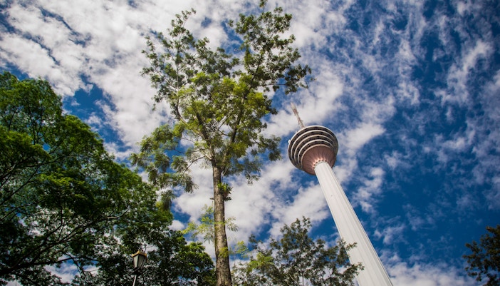 KL Tower with Jelutong Tree against a blue sky in Kuala Lumpur.