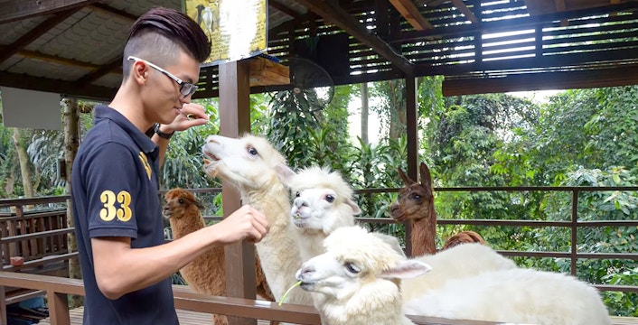 Book KL Tower Mini Zoo Malaysia Tickets & Tours