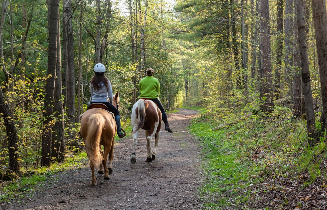 Camping at Disneyland Paris - Campsite Le Chêne Gris