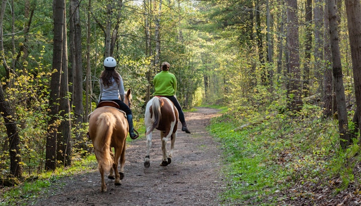 Camping tents at Campsite Le Chêne Gris near Disneyland Paris.