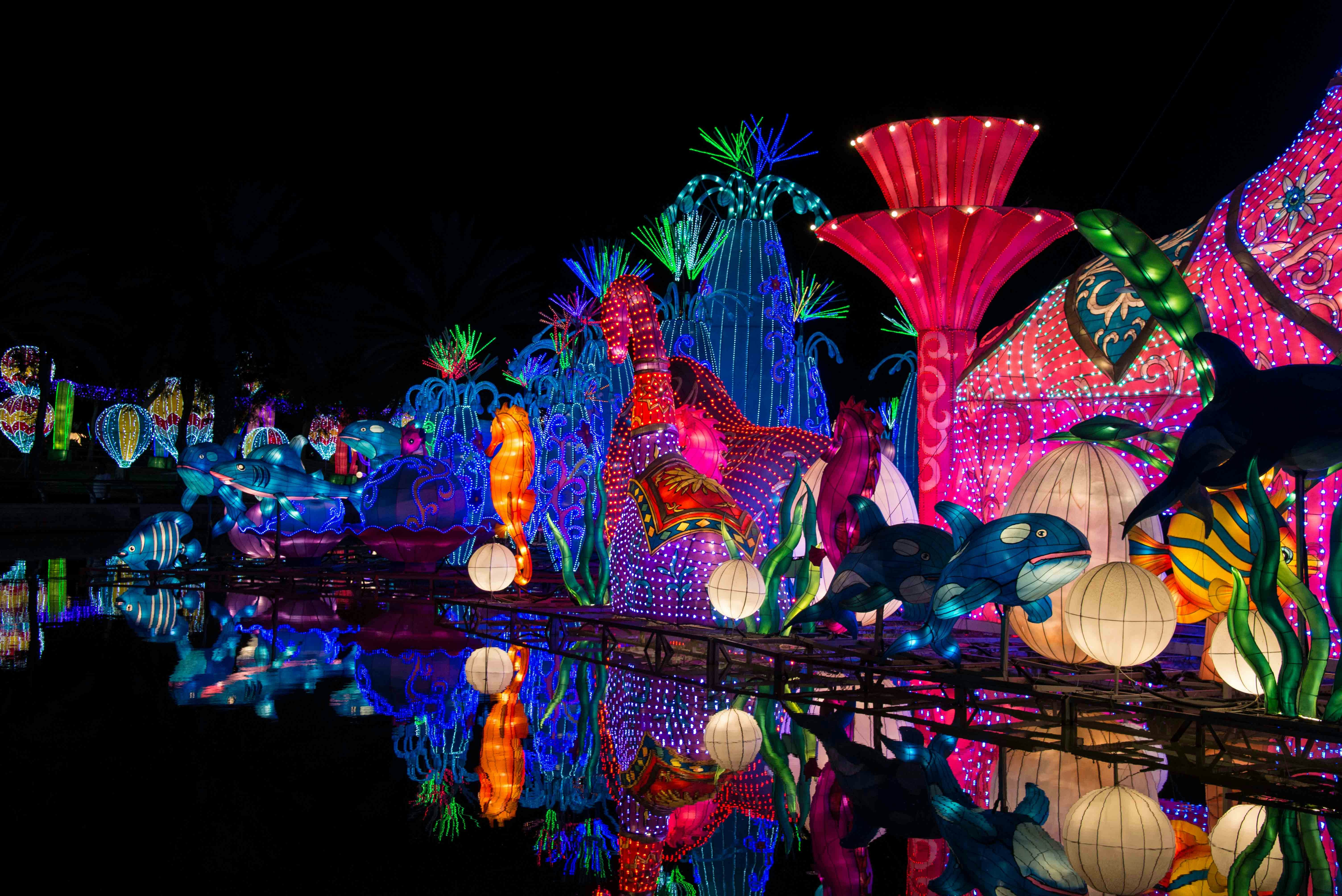 Garden Glow Timings