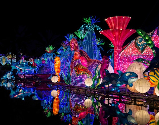 Garden Glow Ice Park