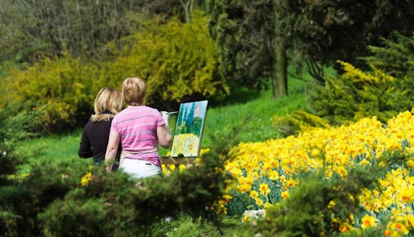 parco sigurtà events