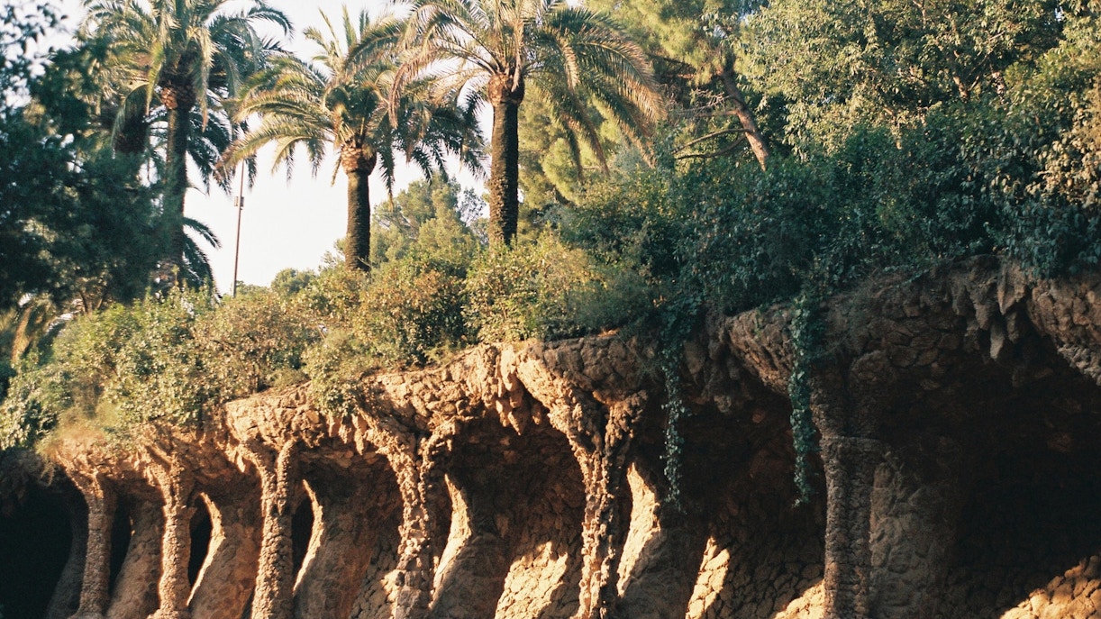 Nature & Biodiversity-Park Guell
