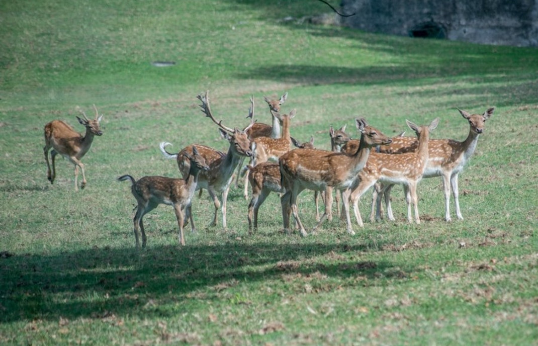 parco sigurtà attractions