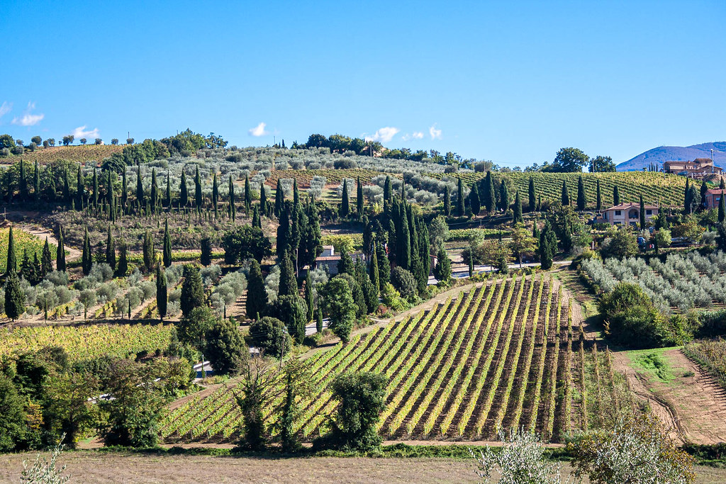 Florence Travel Guide - Tuscany Day Trip