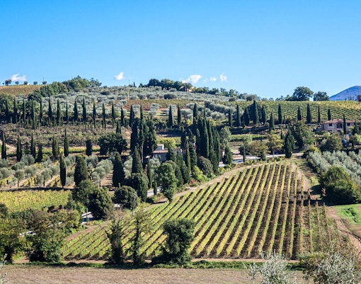 Florence Travel Guide - Tuscany Day Trip