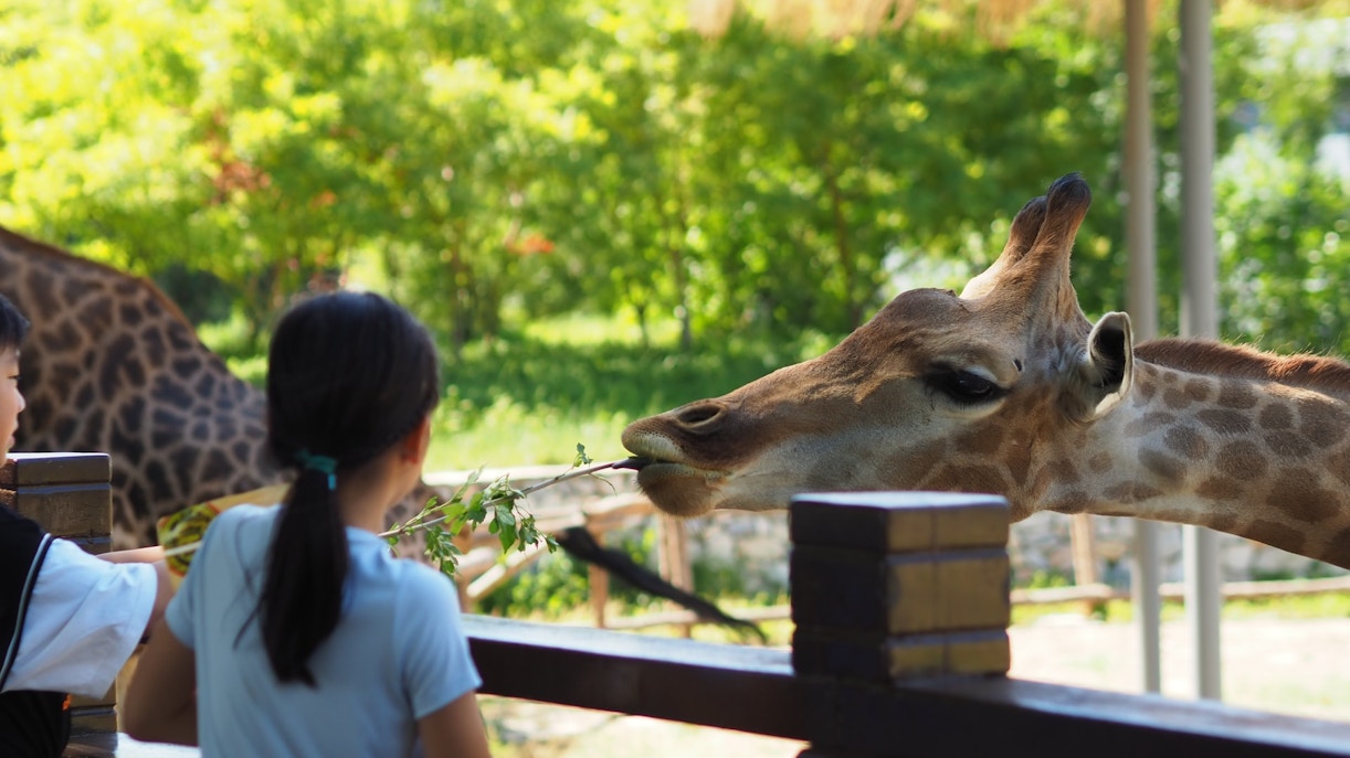 Terra Natura Zoo Tickets