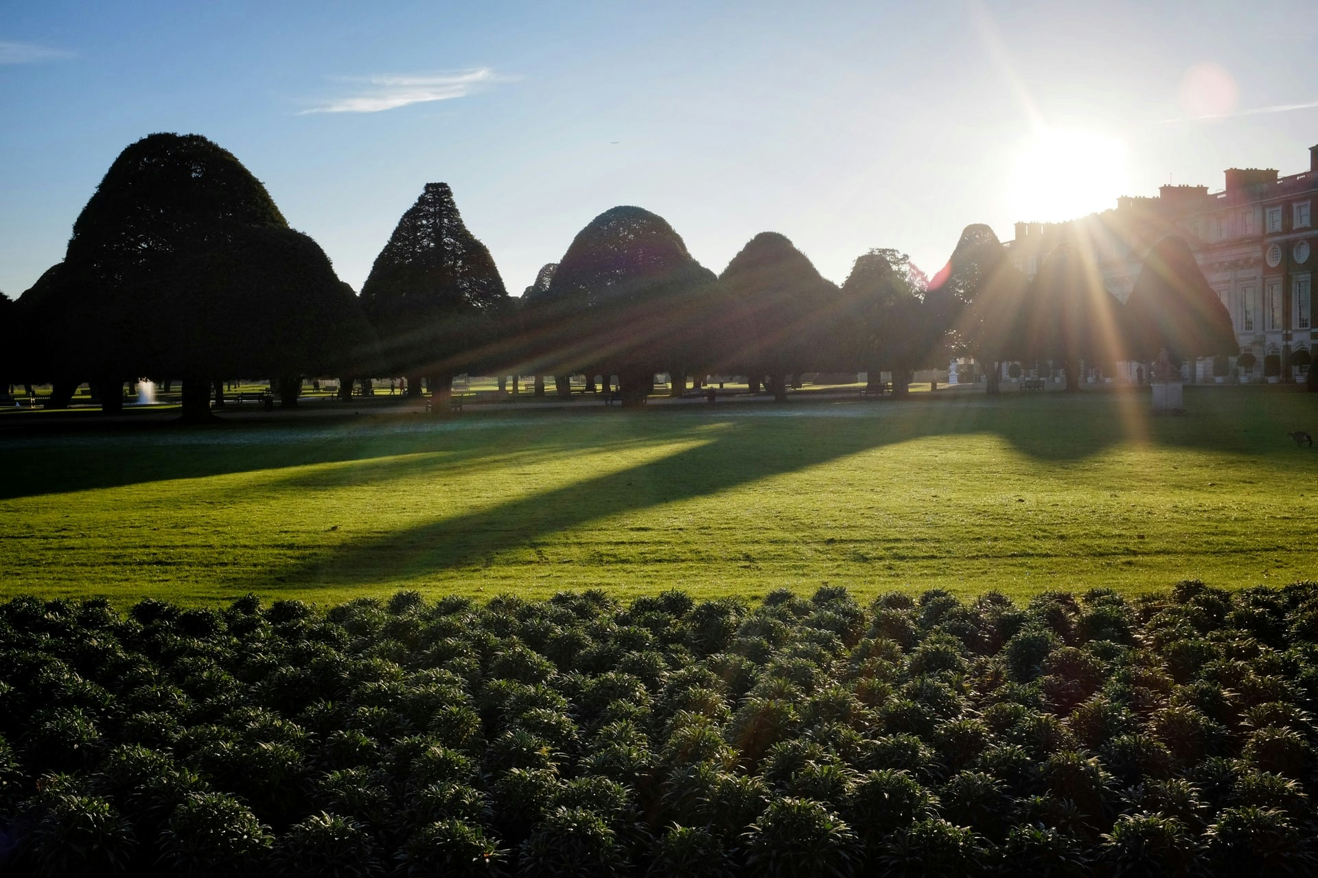 Hampton Court Magic Garden