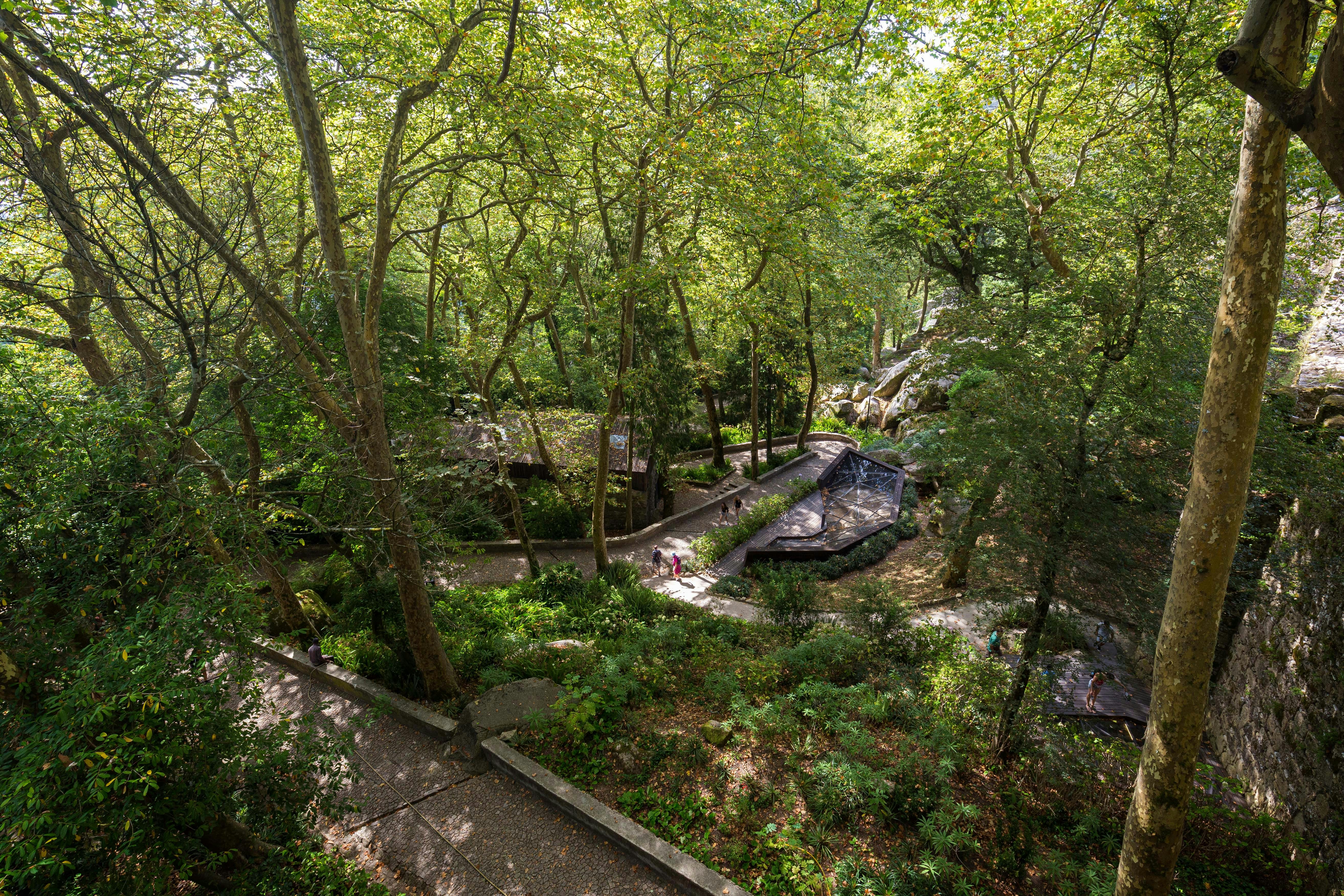Pathway through lush forest near Moorish Castle, Sintra, Portugal.
