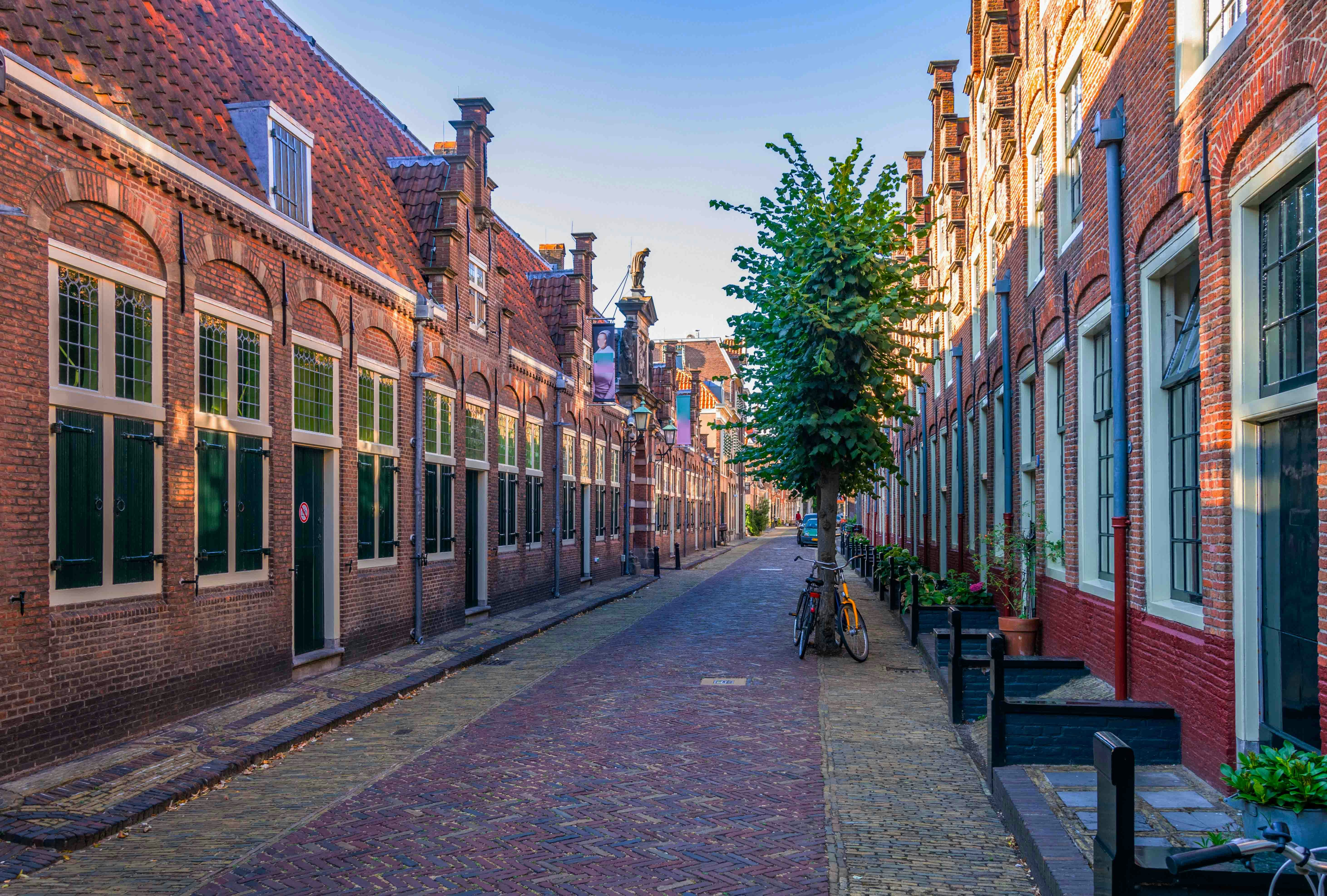 Frans Hals Museum Hof street view in Haarlem, Netherlands, with historic brick buildings.