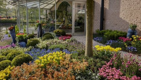 Keukenhof Amsterdam 2023
