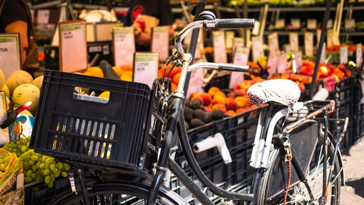 sustainable food