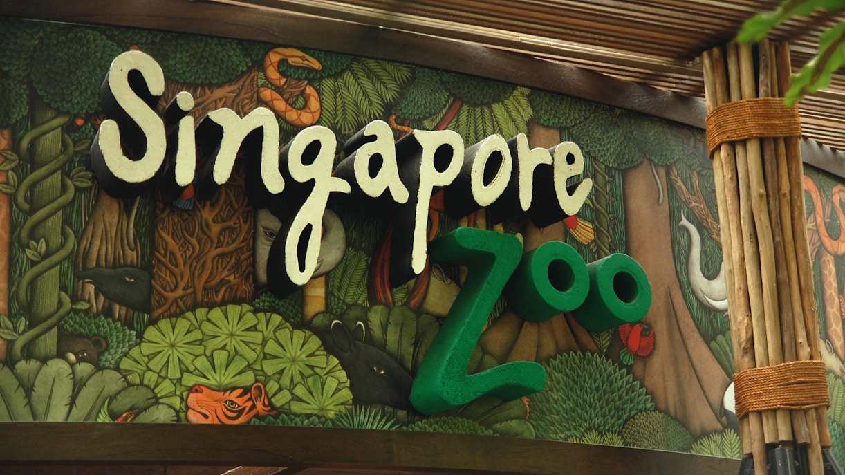 Singapore Zoo