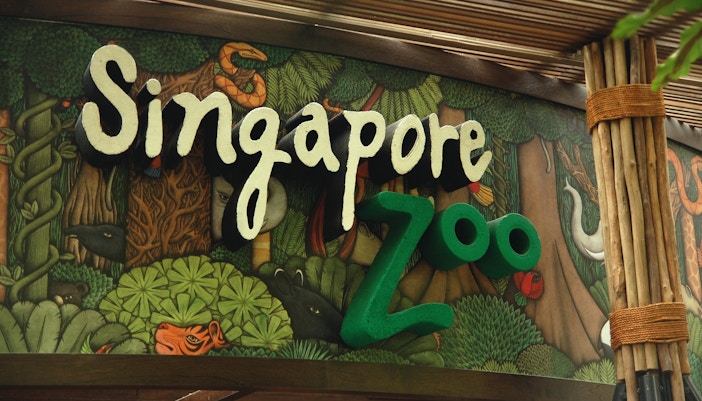 Best places to visit in Singapore - Singapore Zoo