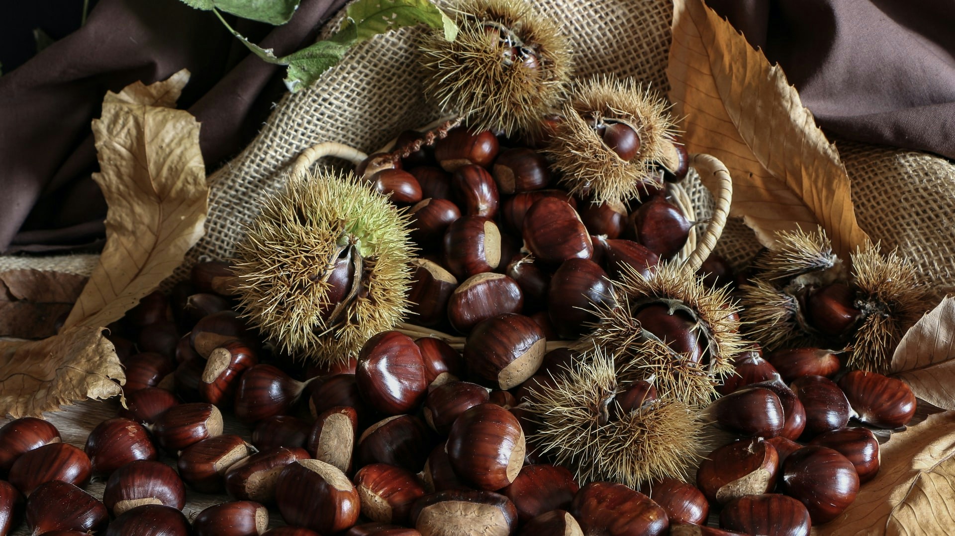 Street vendor roasting chestnuts in Barcelona during November.