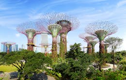 Singapore in 1 Day - Itinerary