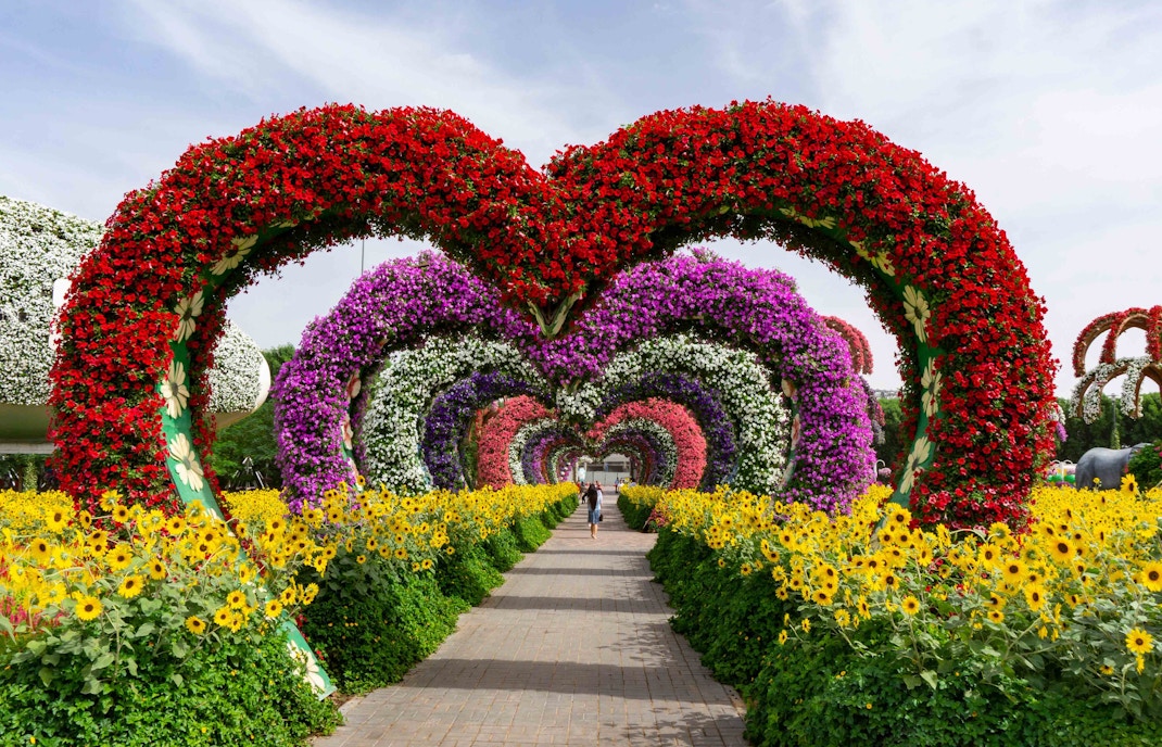 Dubai Miracle Garden Tickets