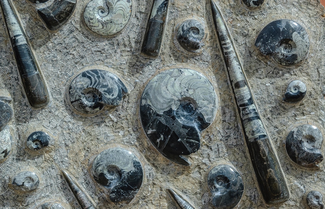 science museum barcelona