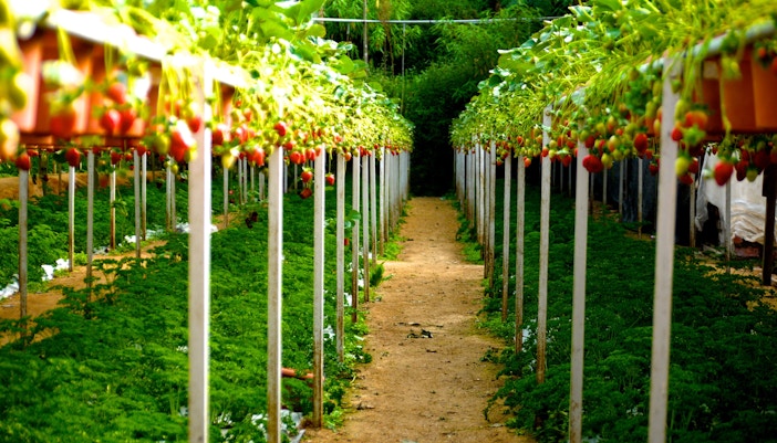 genting highland attractions