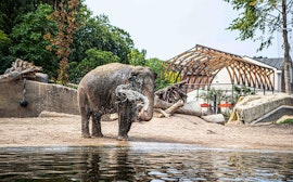 ARTIS Amsterdam Royal Zoo