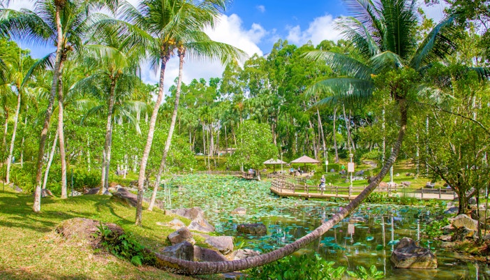 Parks in Singapore - Bishan-Ang Mo Kio Park