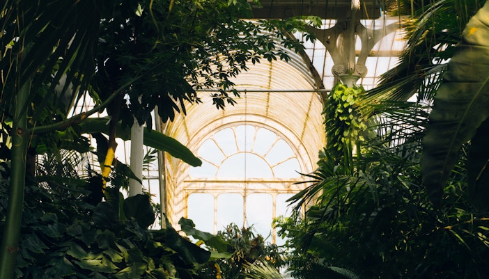 Prague Castle Garden Greenhouse