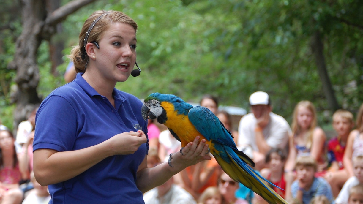 dubai safari park explorer theatre