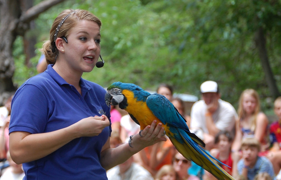 Dubai Sari Park shows ao vivo