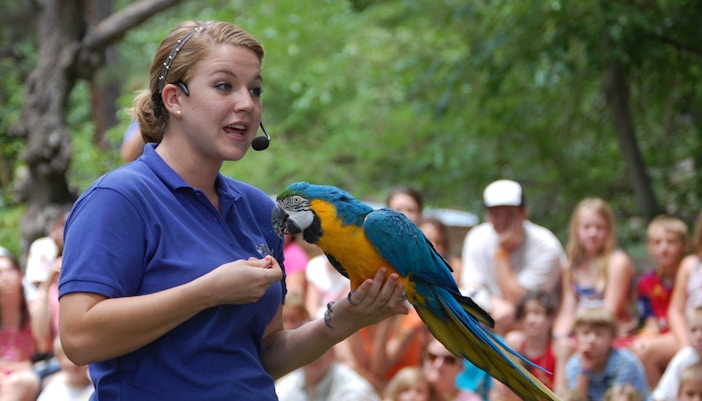 bird show dubai safari park