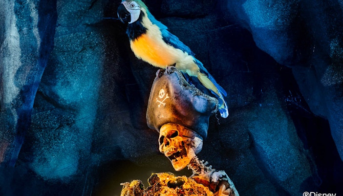 Disneyland Paris Shop