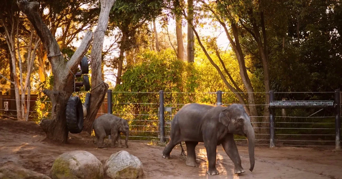 melbourne zoo directions