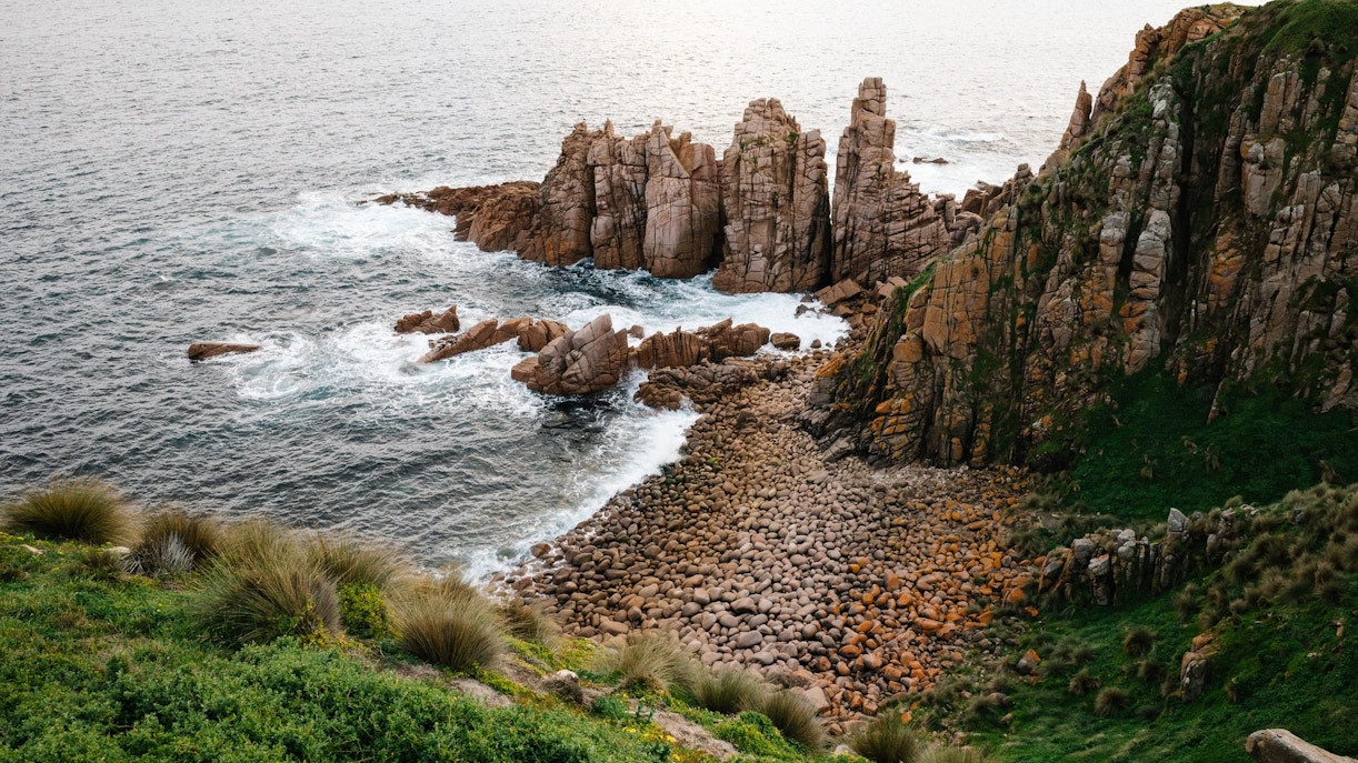 about Phillip Island Nature Parks