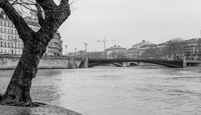 Île Saint-Louis - Cruzeiro Bateaux Mouches
