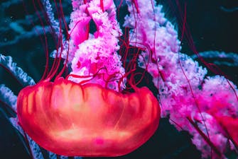 Galata Tower - Istanbul