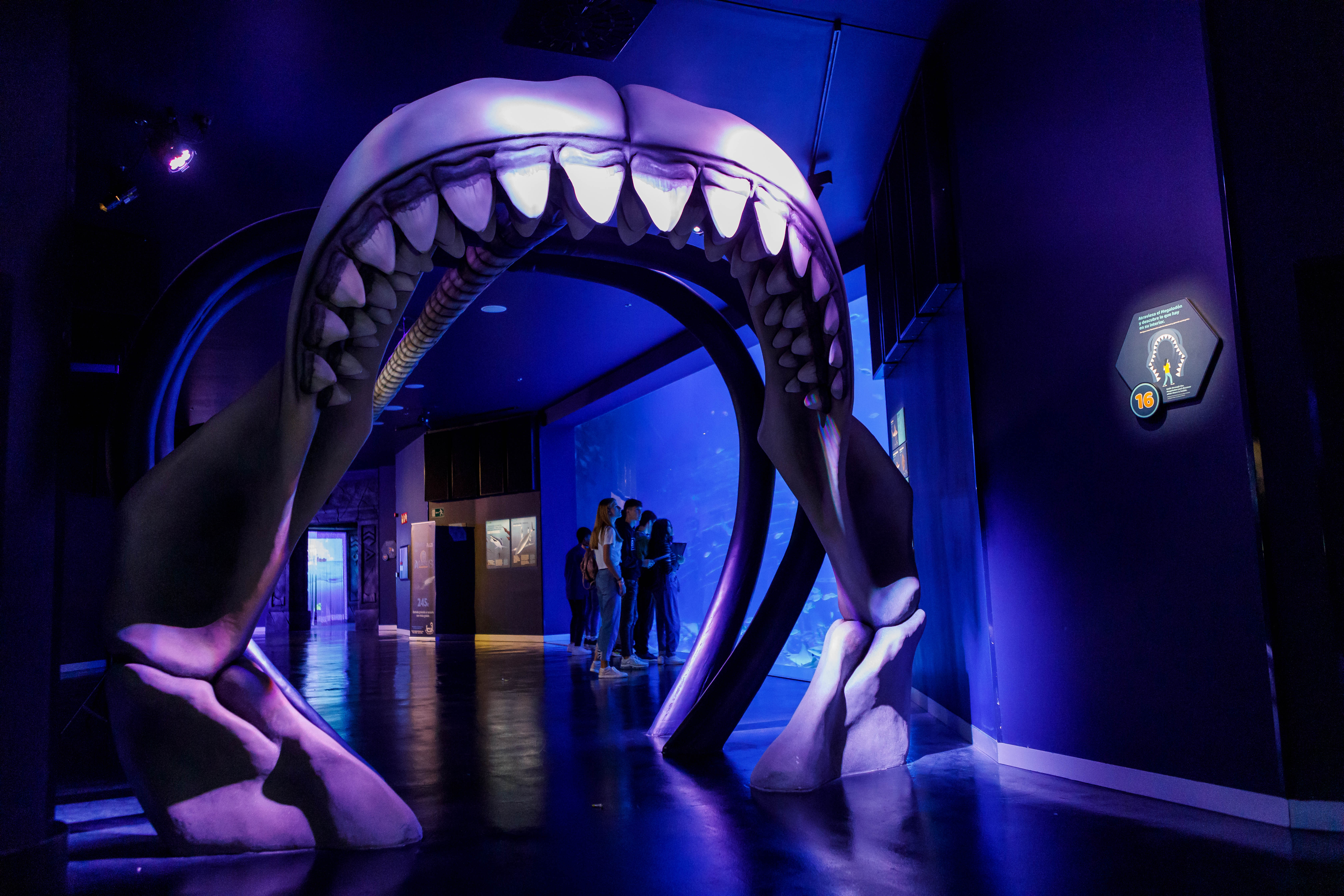 migliori attrazioni a Madrid