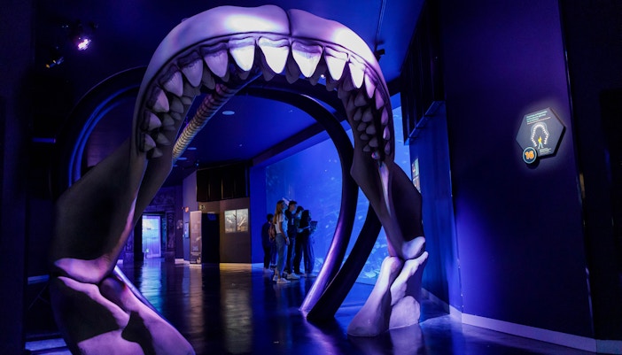 migliori attrazioni a Madrid