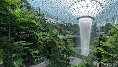 Singapore in July - Canopy Park